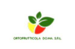 ORTOFRUTTICOLA  DO.MA. S.R.L.