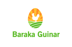 Baraka Guinar