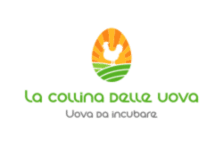La collina delle uova