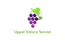 Uppal Veloce Servizi