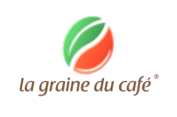 la graine du café
