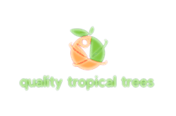 quality tropical trees