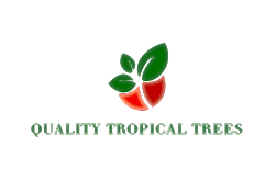 quality tropical trees