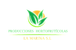PRODUCCIONES