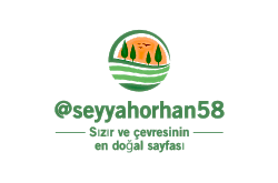 @seyyahorhan58
