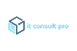 it consult pro