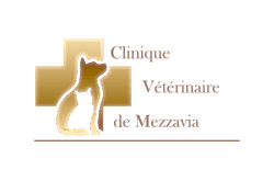 Clinique