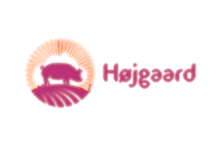 Højgaard