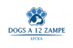DOGS A 12 ZAMPE