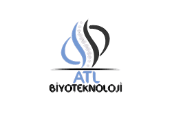 ATL