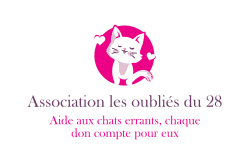 Association les oubliés du 28