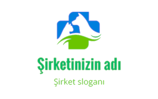 kedi