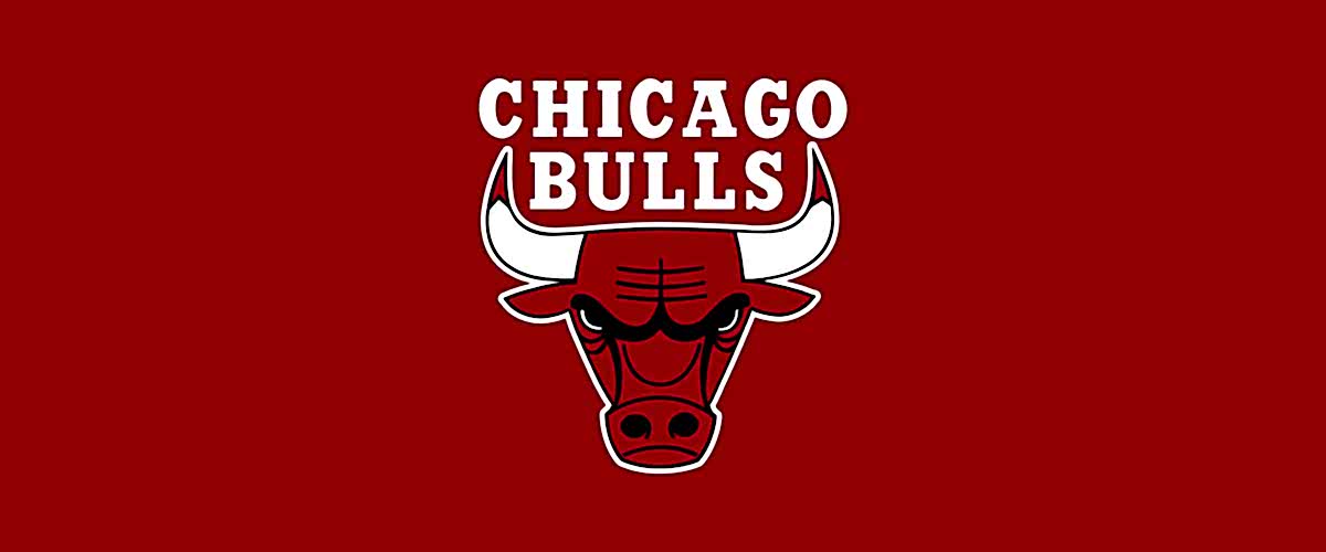 Chicago bulls logo